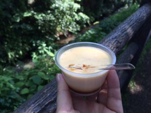 「玉川上水のぷりん屋」のプリンで最初の休憩
