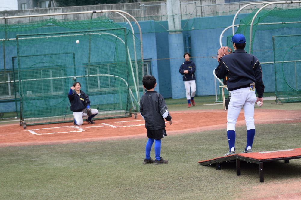 東京経済大学野球部